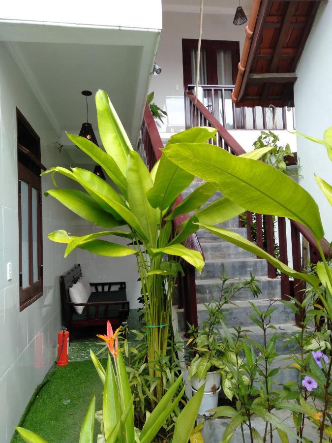 Pink Beach Homestay Hoi An Exteriér fotografie